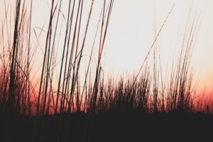 Cultivating Hardiness in Daily Life Tools for Long-Term Growth