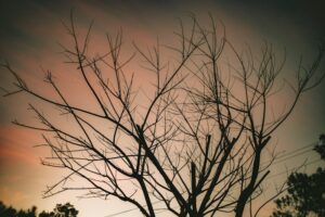 Hardiness for Students Resilience in the Classroom and Beyond