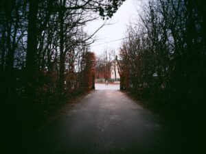 How Hardiness Shapes Our Lives
