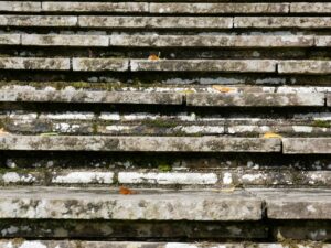 The Hardiness Handbook Principles, Practices, and Research